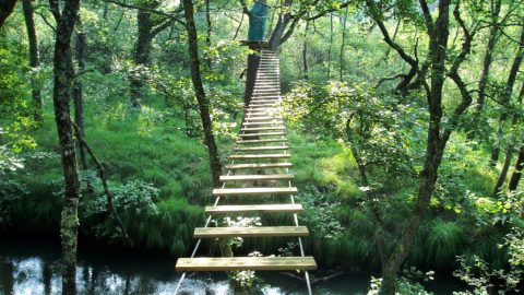 Tourisme_insolite_pyrenees_perchoir_des_pyrenees_parc_acrobatiqye_aya